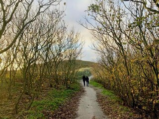 Ferienhaus De Koog Umgebung 23