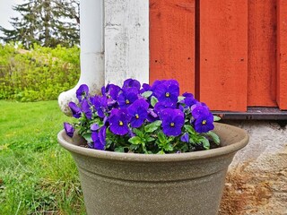 Holiday house Grisslehamn Outdoor Recording 5