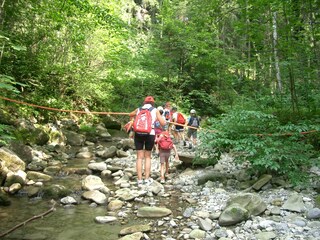 Im Hausbach unterwegs