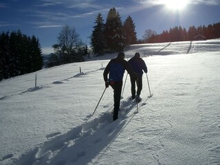 Schneeschuhwandern