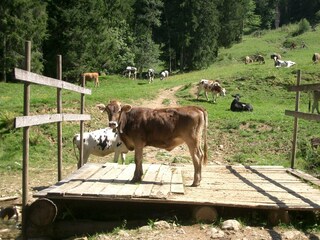 Der Weg ist nicht frei!