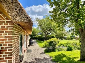 Ferienwohnung Süd Hasselberg