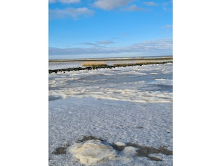 Winterimpression