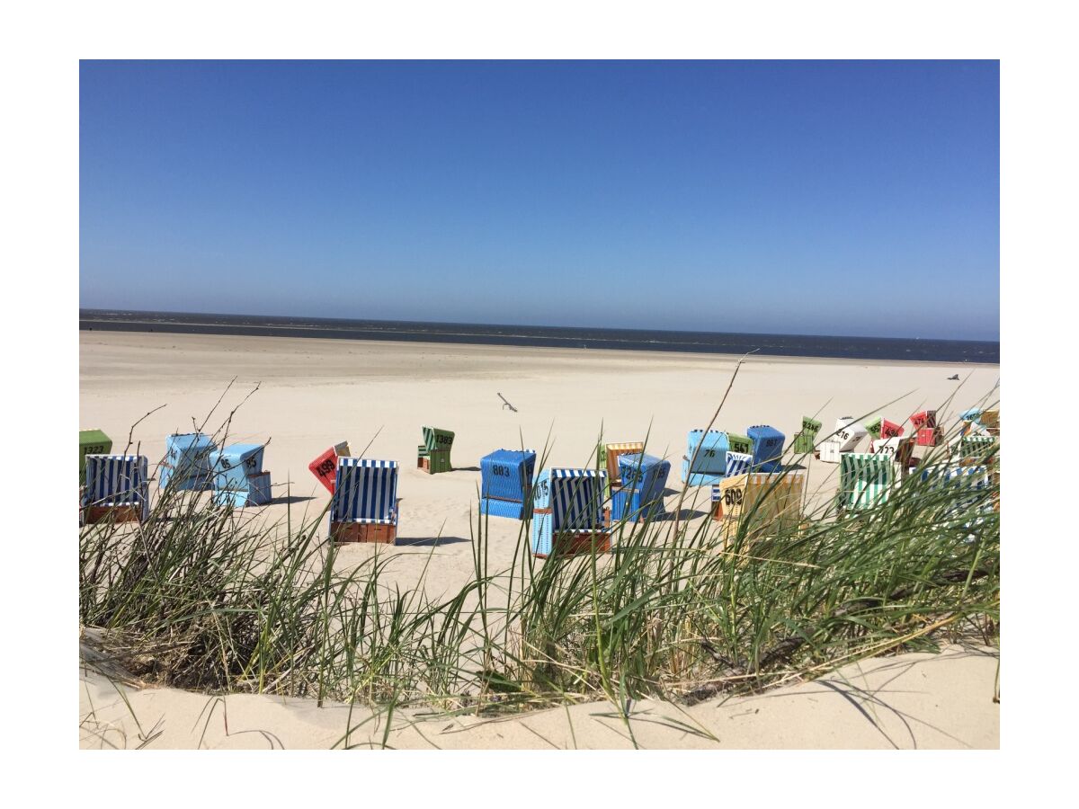 Ferienwohnung Langeoog Umgebung 14