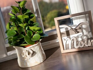 Ferienhaus St. Peter-Ording Ausstattung 38