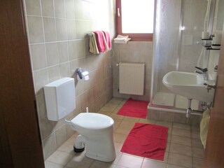 Appartamento per vacanze Millstatt Caratteristiche 12