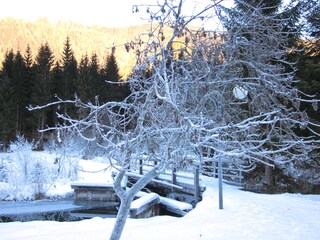 Appartamento per vacanze Millstatt Ambiente 19