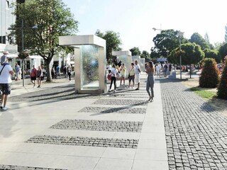 Ferienpark Misdroy Umgebung 18