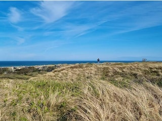 Vakantiehuis Blokhus  22