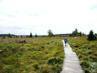 Ferienhaus Robertville Umgebung 18