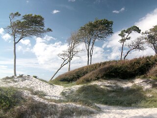 Weststrand