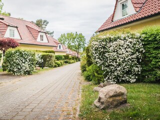Anlage