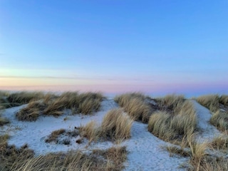 Dünenlandschaft