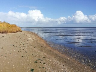 Vakantiehuis Havneby  11