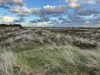 Maison de vacances Havneby  49