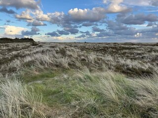 Vakantiehuis Havneby  8