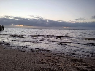 Ferienhaus Havneby  59