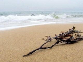 Vakantiehuis Gilleleje  29