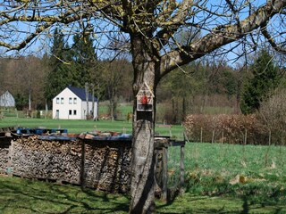 Vakantiehuis Robertville Buitenaudio-opname 8