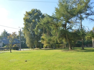 Holiday house Robertville Outdoor Recording 5