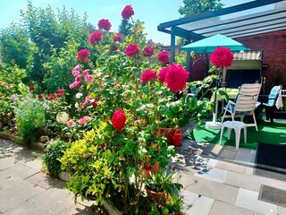 Appartement Büsum Buitenaudio-opname 2