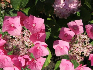 Appartamento per vacanze Greetsiel Ambiente 37