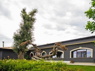 Ferienpark Santa Venerina Außenaufnahme 3
