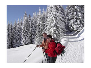 Entschleunigung beim Winterwandern