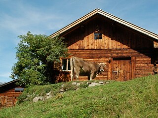 Auf der Alm