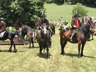 Appartamento per vacanze Itter Ambiente 27