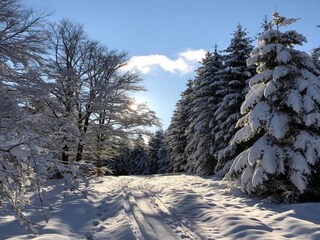 Apartamento Erndtebrück Entorno 32