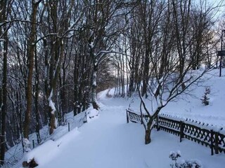 Vakantiehuis Winterberg Buitenaudio-opname 5