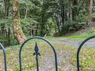 Holiday house Winterberg Outdoor Recording 13