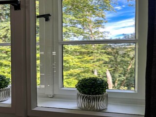 Ferienhaus Winterberg  38