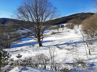Ferienhaus Winterberg Umgebung 19