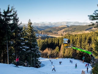 Holiday house Olsberg Environment 19