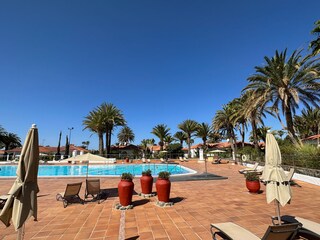 Bungalow Playa del Inglés Ambiente 19