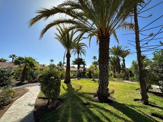 Bungalow Playa del Inglés Buitenaudio-opname 6