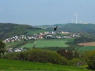 Blick auf Lierfeld und das Ferienhaus (Pfeil)