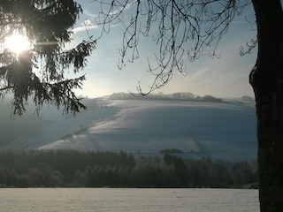 Winterlandschaft um Lierfeld