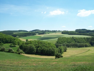 Natur pur rund um Lierfeld