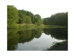 Vakantiehuis Lierfeld Omgeving 26