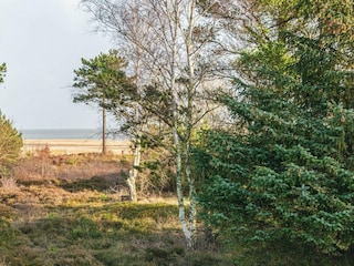 Ferienhaus Havneby  8