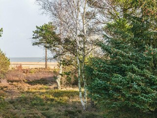Maison de vacances Havneby  1