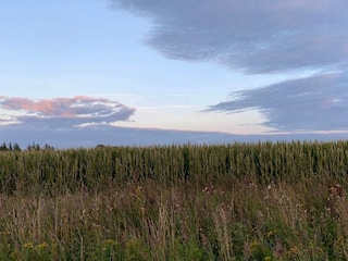 Ferienhaus Havneby  11