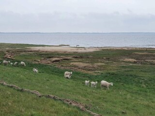 Vakantiehuis Havneby  53