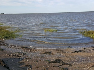 Vakantiehuis Havneby  13