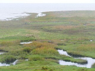 Ferienhaus Havneby  18