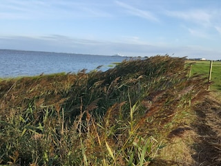 Maison de vacances Havneby  32