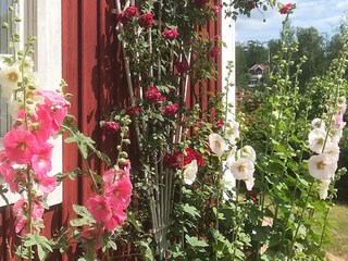 Holiday house Hjorted Outdoor Recording 4